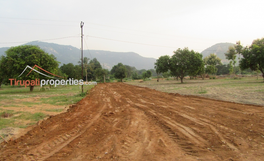 Low Budget Plots and Below 45 Lacs Houses for Sale Near Chandragiri Fort Junction